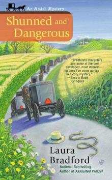Shunned and Dangerous (An Amish Mystery) Read online