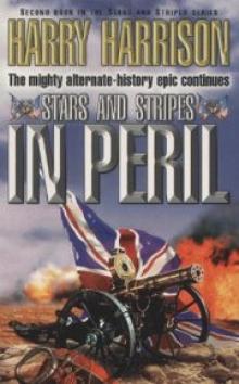 Stars and Stripes In Peril sas-2 Read online