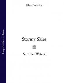 Stormy Skies Read online