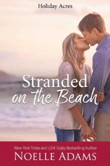 Stranded on the Beach (Holiday Acres Book 1) Read online