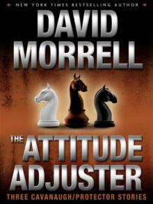 The Attitude Adjuster: Three Cavanaugh/Protector Stories Read online