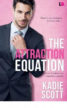 The Attraction Equation (Love Undercover)