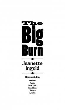 The Big Burn Read online