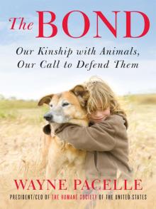 The Bond