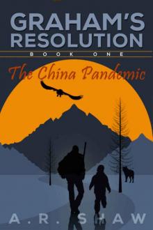 The China Pandemic Read online