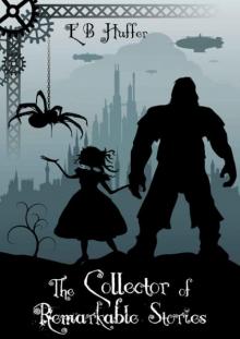 The Collector of Remarkable Stories Read online