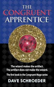 The Congruent Apprentice (The Congruent Mage Series Book 1) Read online