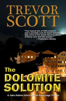 The Dolomite Solution Read online