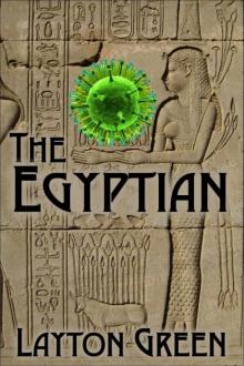 The Egyptian Read online