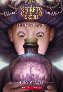 The Genie King Read online