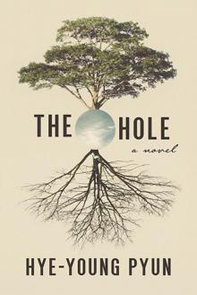 The Hole Read online