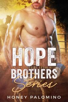 THE HOPE BROTHERS: The Bad Boys of Sugar Hill Read online