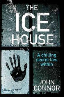 The Ice House Read online