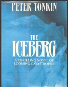 The Iceberg - [Richard Mariner 05] Read online