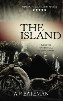 The Island (Rob Stone Book 3) Read online