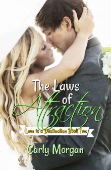 The Laws of Attraction (Love is a Destination Book 2) Read online