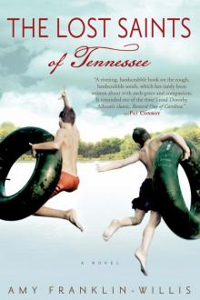 The Lost Saints of Tennessee
