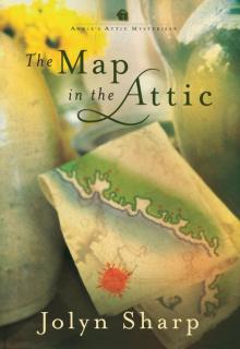 The Map in the Attic Read online
