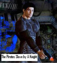 The Pirate's Slave Read online