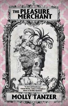 The Pleasure Merchant Read online