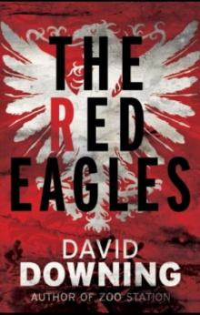 The Red Eagles Read online