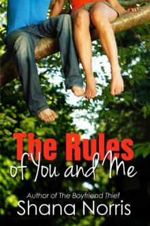 The Rules of You and Me Read online