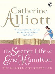 The Secret Life of Evie Hamilton Read online
