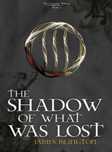 The Shadow Of What Was Lost (Book 1)