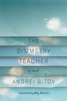 The Symmetry Teacher: A Novel