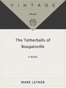 The Tetherballs of Bougainville: A Novel (Vintage Contemporaries)
