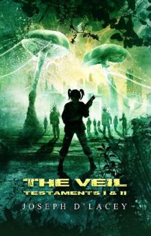The Veil (Testaments I and II) Read online
