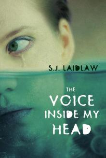 The Voice inside My Head Read online