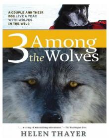 Three Among the Wolves: A Couple and Their Dog Live a Year With Wolves in the Wild
