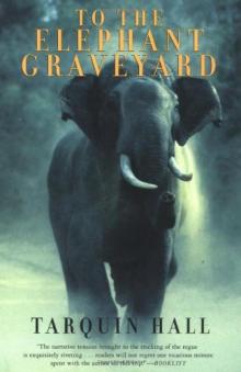 To the Elephant Graveyard Read online