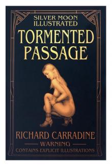 Tormented Passage Read online