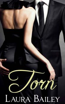 TORN : A romance erotica Read online