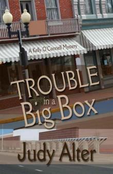 Trouble in a Big Box (A Kelly O'Connell Mystery) Read online