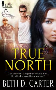 True North Read online