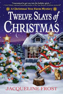 Twelve Slays of Christmas Read online