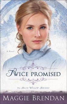 Twice Promised (The Blue Willow Brides Book #2): A Novel Read online