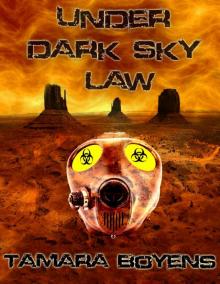Under Dark Sky Law Read online