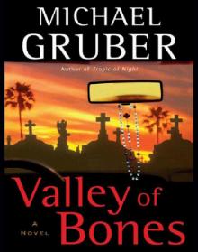 Valley of Bones Read online
