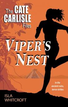 Viper's Nest Read online