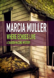 Where Echoes Live Read online