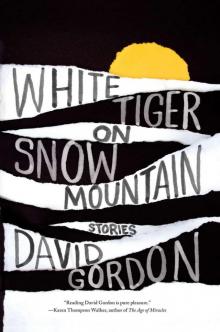 White Tiger on Snow Mountain Read online