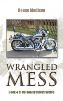 Wrangled Mess Read online