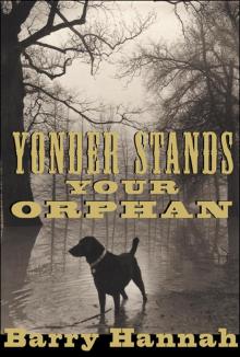 Yonder Stands Your Orphan Read online