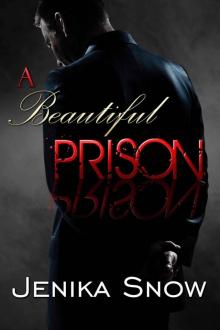 A Beautiful Prison Read online