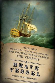 A Brave Vessel: The True Tale of the Castaways Who Rescued Jamestown and Inspired Shakespeare'sThe Tempest Read online