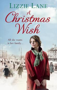 A Christmas Wish Read online